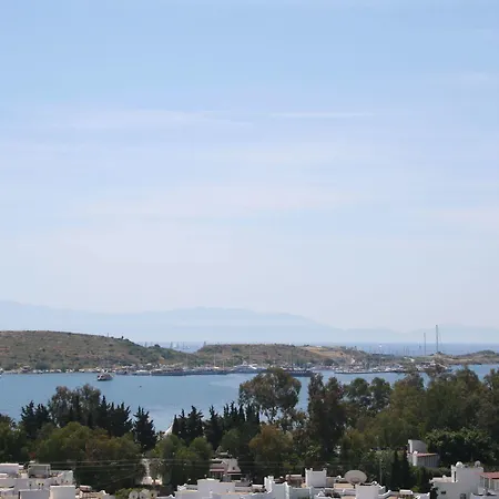 公寓式酒店 Roadhouse 2*