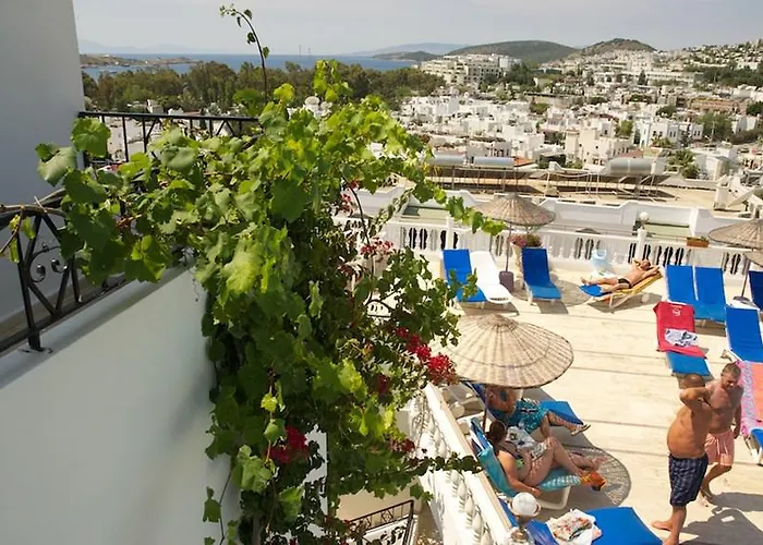 מלון דירות Roadhouse 2*